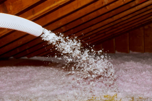 Best Spray Foam Insulation in Sagamore, MA